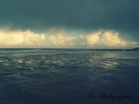 /album/zoe-photographie/catzand-png1/